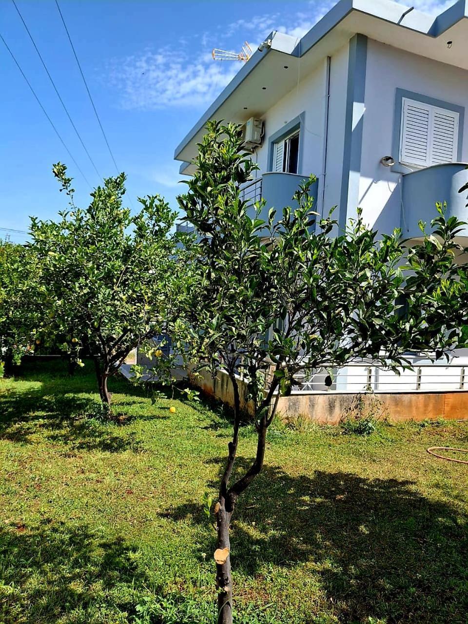 Myksamil Apartments Εξωτερικό φωτογραφία