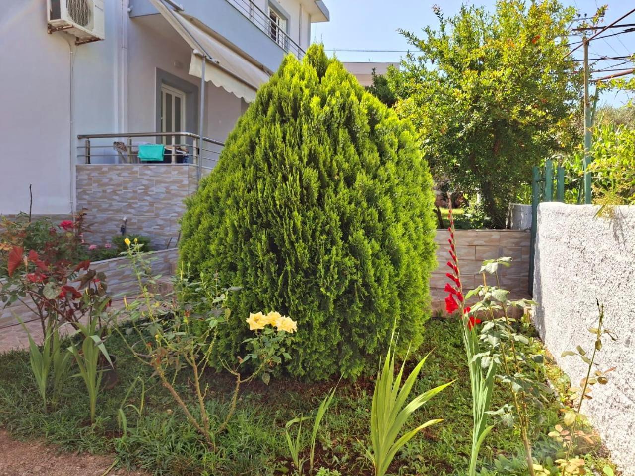 Myksamil Apartments Εξωτερικό φωτογραφία